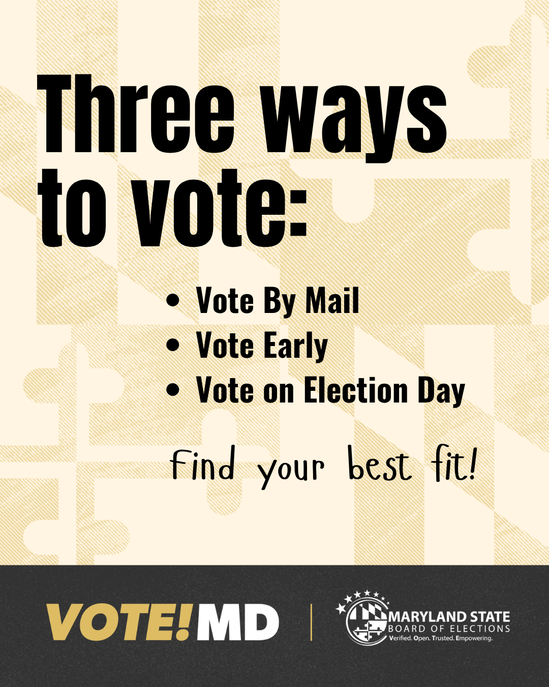 VoteMD graphic describing ways to vote